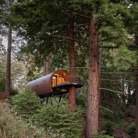 ~* The Spectacular Spyglass Treehouse *~ Occidental المظهر الخارجي الصورة