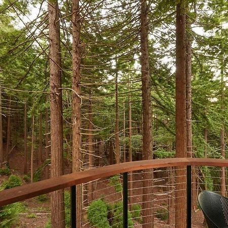 ~* The Spectacular Spyglass Treehouse *~ Occidental المظهر الخارجي الصورة