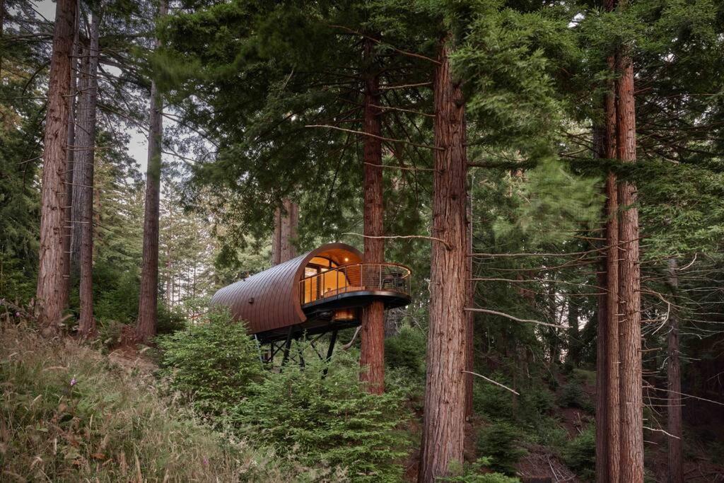 ~* The Spectacular Spyglass Treehouse *~ Occidental المظهر الخارجي الصورة