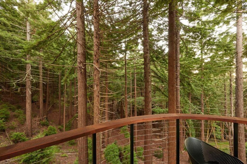 ~* The Spectacular Spyglass Treehouse *~ Occidental المظهر الخارجي الصورة
